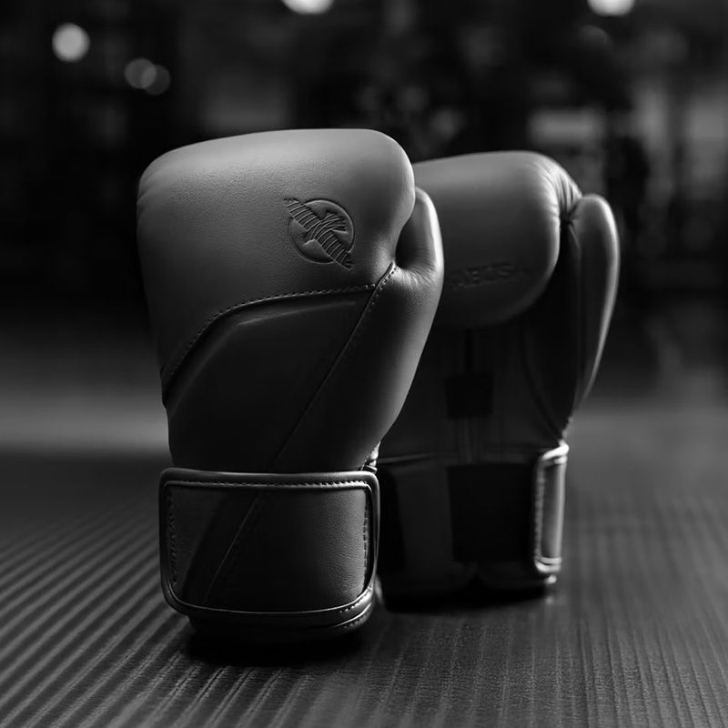 Boxing gloves Hayabusa E1 Leather black 2