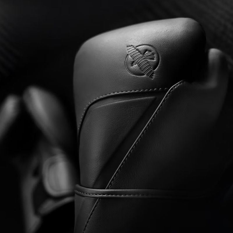 Boxing gloves Hayabusa E1 Leather black 3