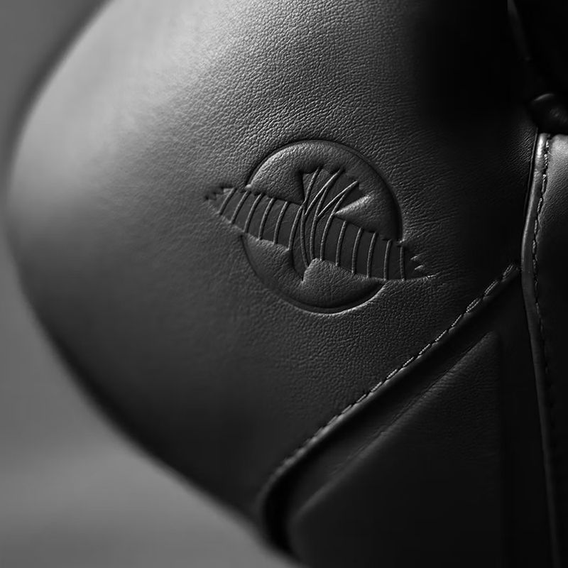 Boxing gloves Hayabusa E1 Leather black 4