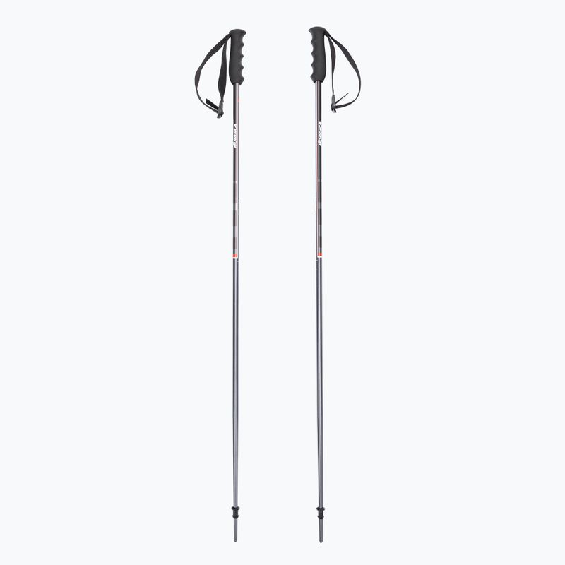 Nordica ski poles ALPINE TI 16 MM grey-red 0B080800001