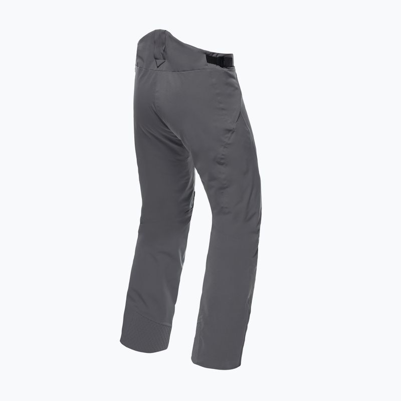 Men's ski trousers Dainese Hp Ridge castle rock 5