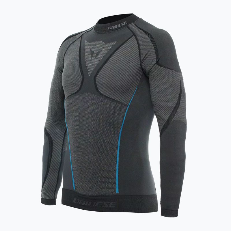 Men's thermal active sweatshirt Dainese Dry black/blue