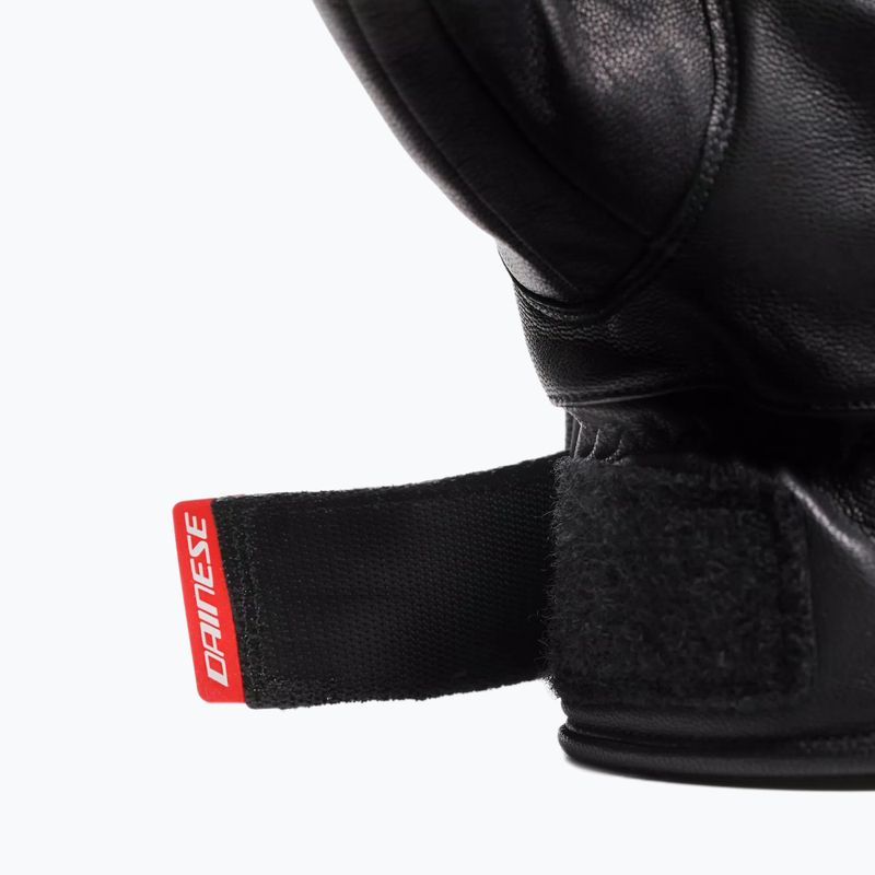 Ski gloves Dainese Leather stretch limo 10