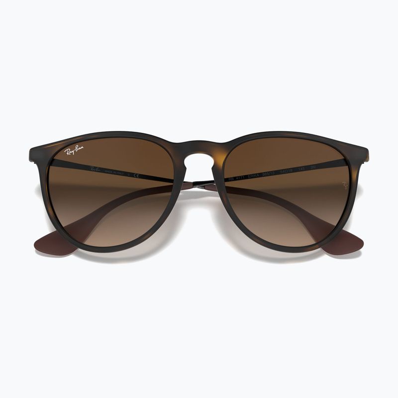 Sunglasses Ray-Ban Erika Classic matt havana/brown 3