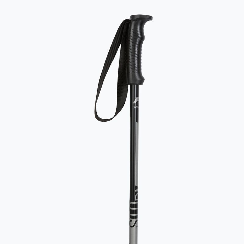 Ski poles Fizan Storm gey 2