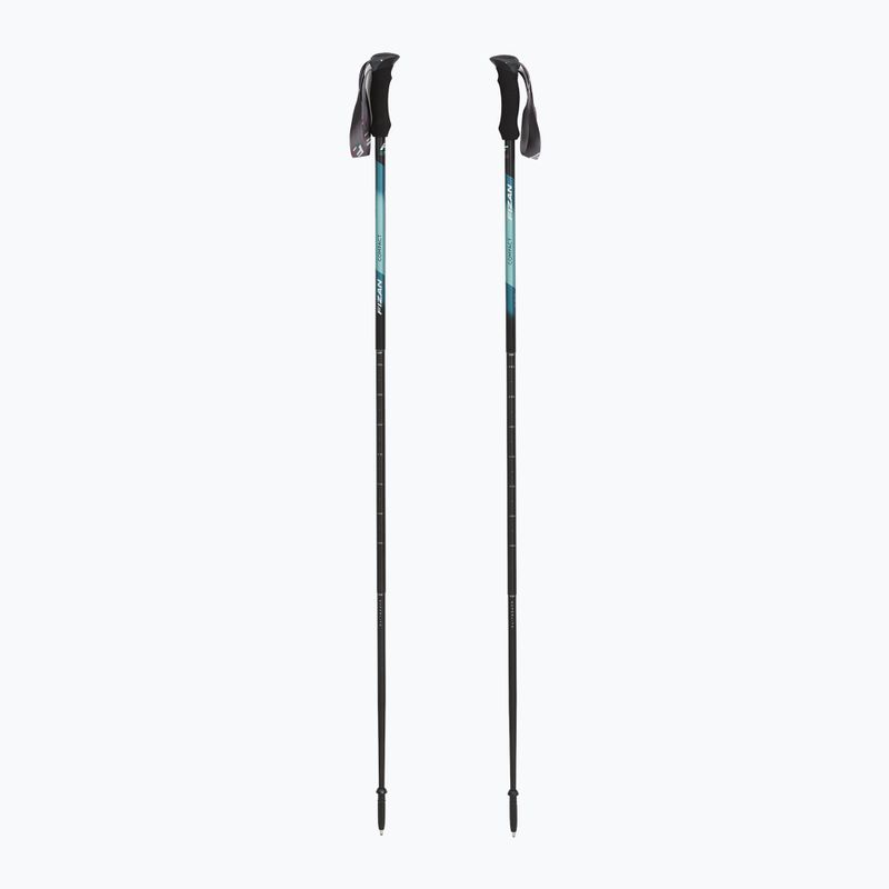 Trekking poles Fizan Compact water green