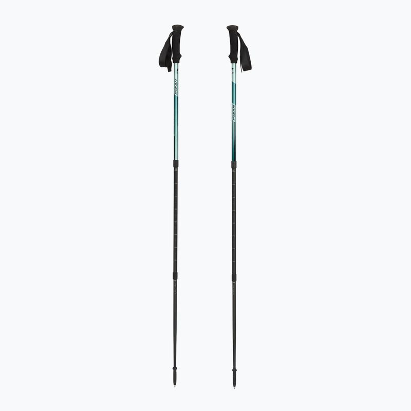 Trekking poles Fizan Trek Pro dark green