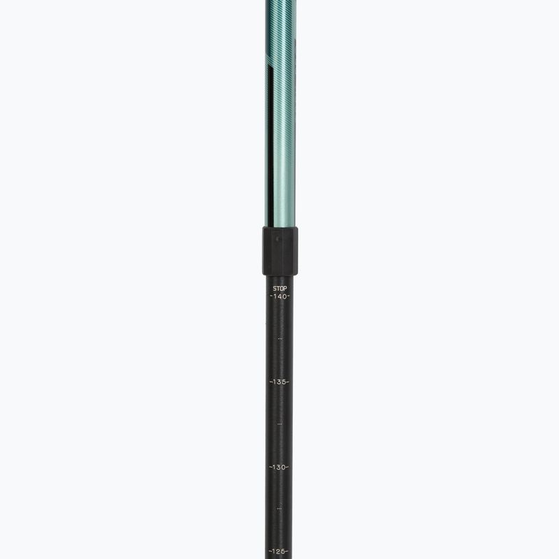 Trekking poles Fizan Trek Pro dark green 4