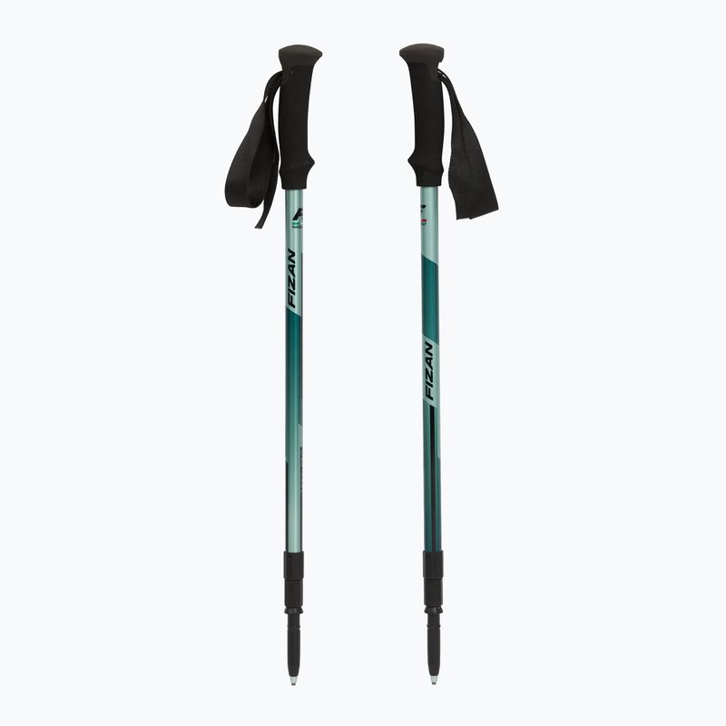 Trekking poles Fizan Trek Pro dark green 5