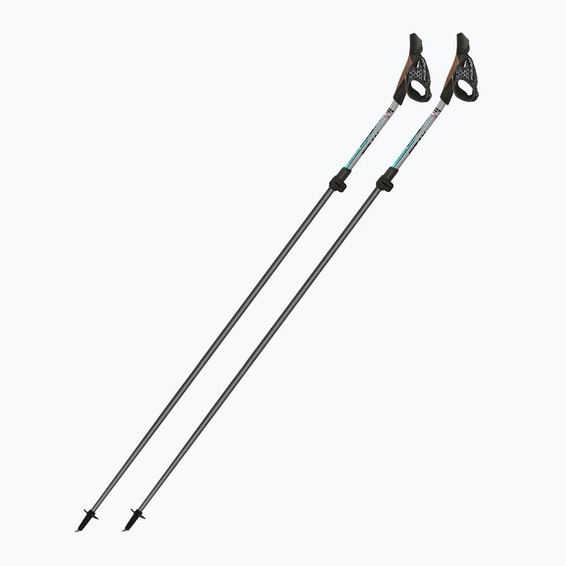 Nordic walking poles Fizan Carbon Pro Impulse grey