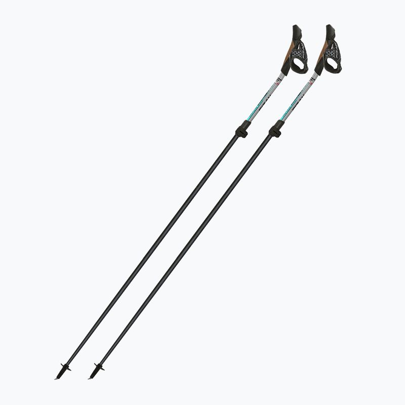 Nordic walking poles Fizan Tekno Impulse grey