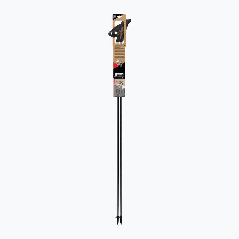 Nordic walking poles Fizan Tekno Impulse grey 4