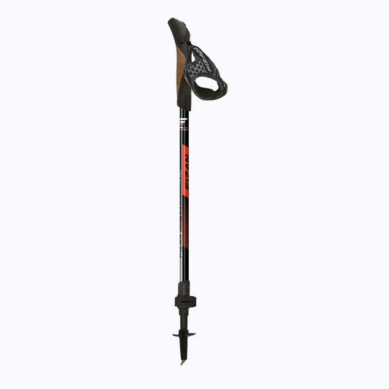 Nordic walking poles Fizan R-Evolution Pro red 2
