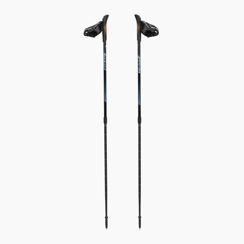Nordic walking poles Fizan Speed black