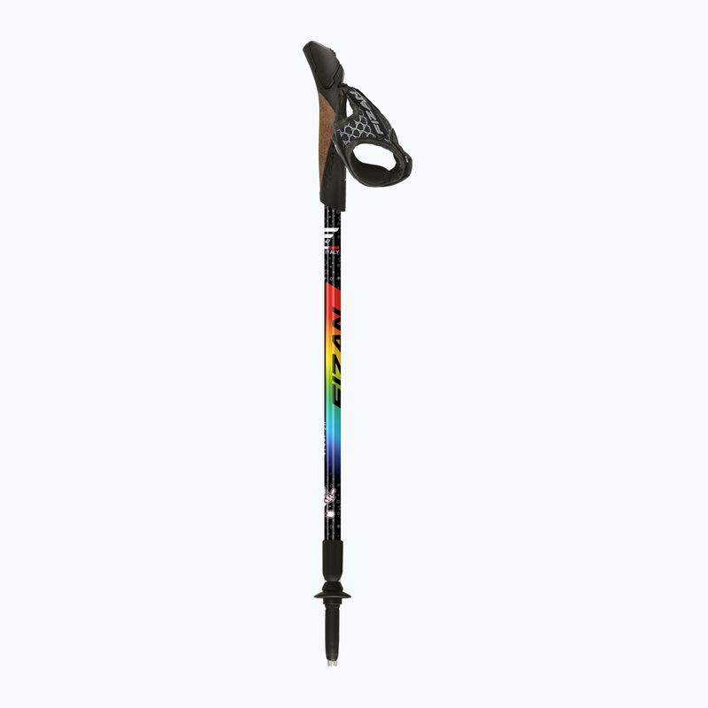 Nordic walking poles Fizan Speed Junior rainbow 2