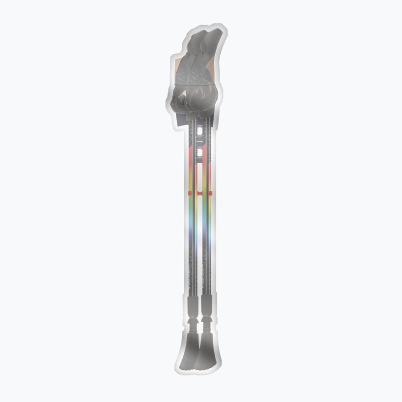 Nordic walking poles Fizan Speed Junior rainbow 4