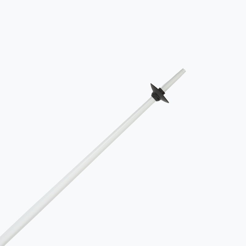 Ski poles Fizan Action white 5