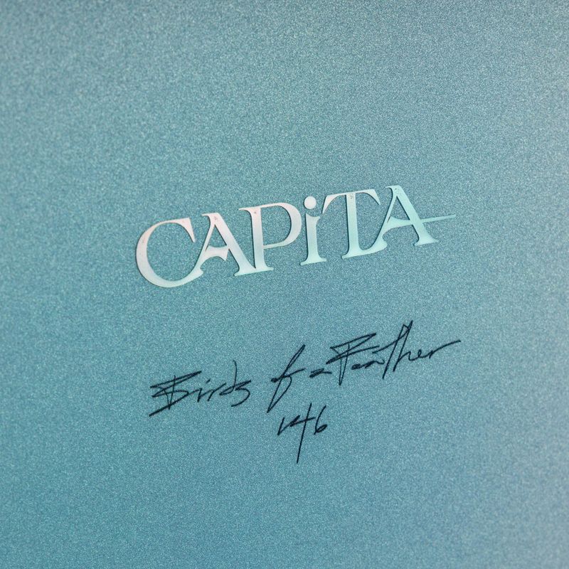 Women's snowboard CAPiTA Birds Of A Feather 5