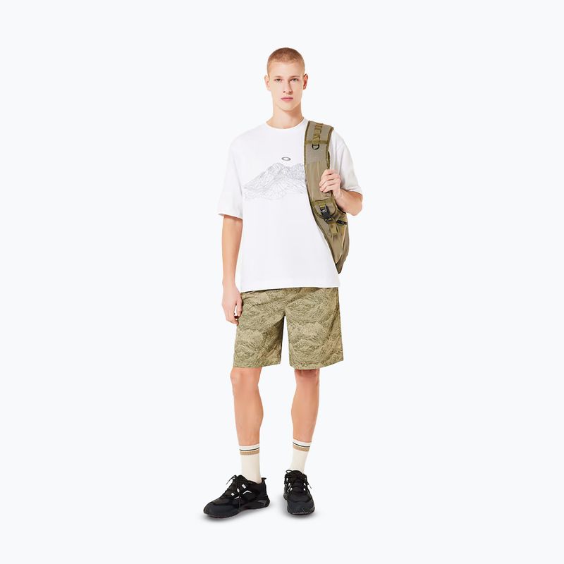 Men's Oakley Wired Mtn Scape Tee white 2