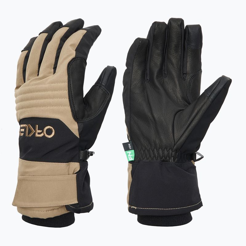 Ski gloves Oakley Oakley B1B pebble