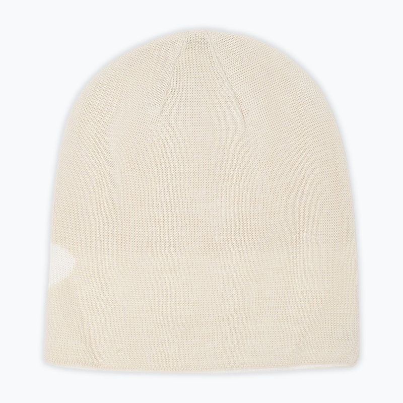 Winter hat Oakley Ellipse Mist 2