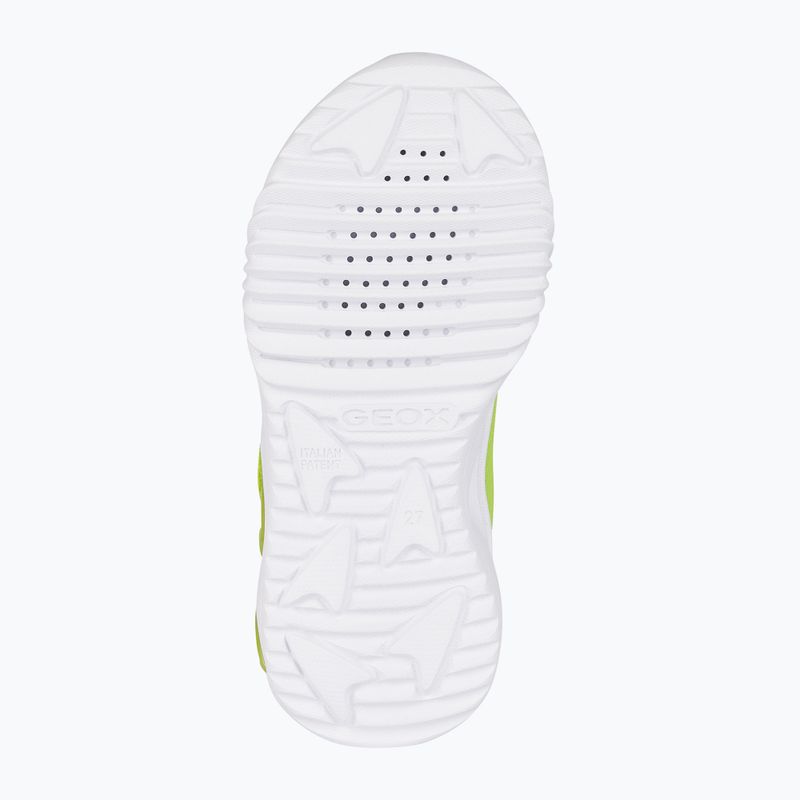 Geox Assister junior shoes lime/black 6