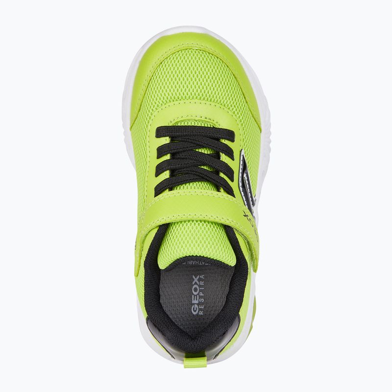 Geox Assister junior shoes lime/black 7