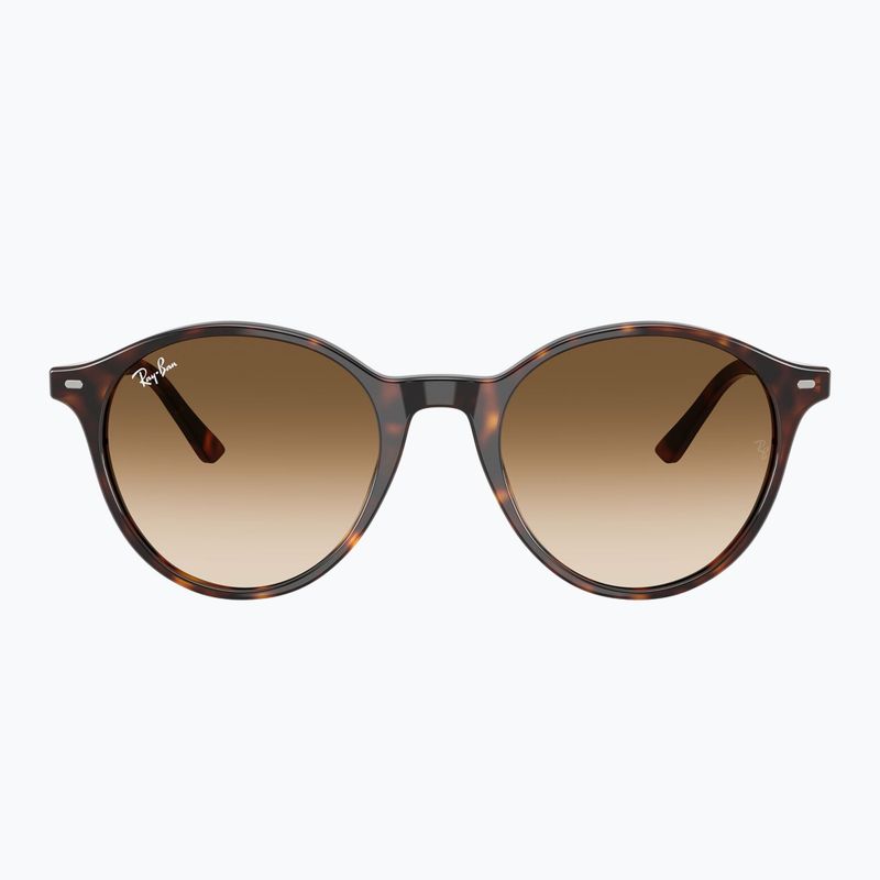 Sunglasses Ray-Ban Bernard havana/brown gradient 2