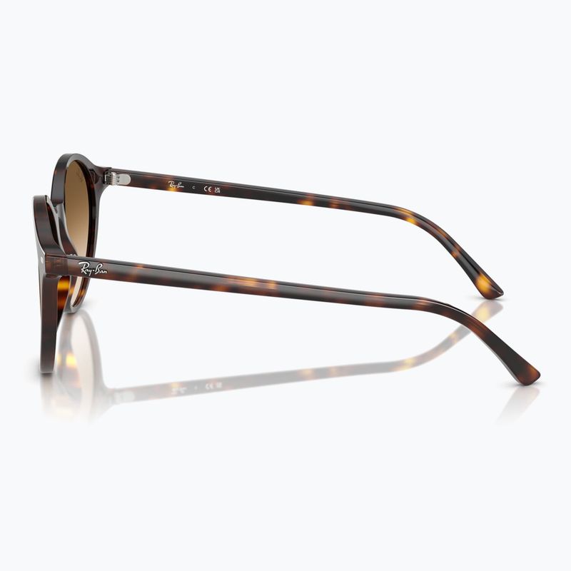 Sunglasses Ray-Ban Bernard havana/brown gradient 6