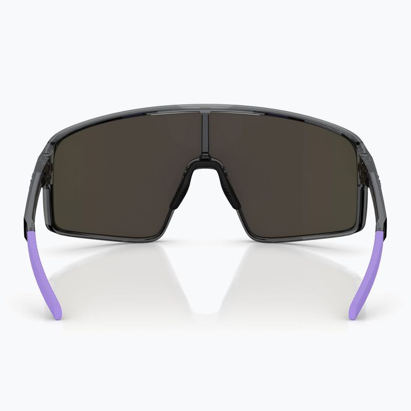 Sunglasses Bliz P001S crystal black/grey purple multi 5
