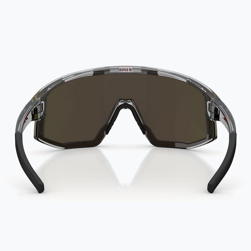 Sunglasses Bliz Vision transparent dark grey/brown red multi 5