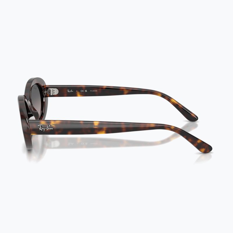 Sunglasses Ray-Ban RB2223 havana/gradient grey 6