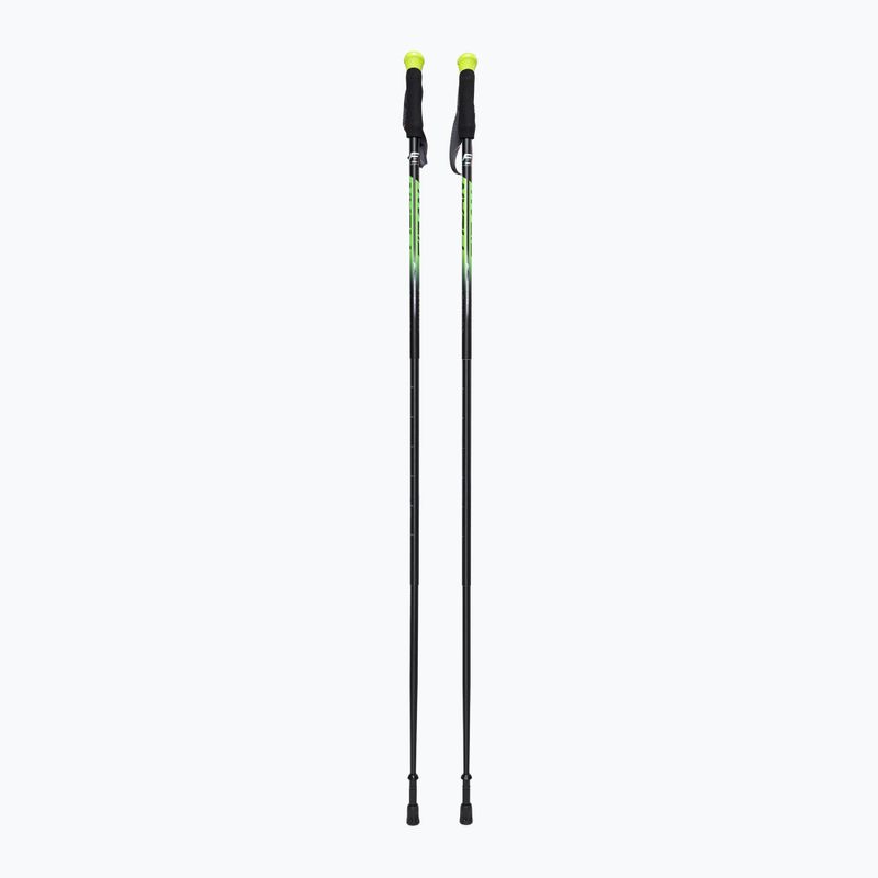 Fizan Compact green S20 7101 trekking poles