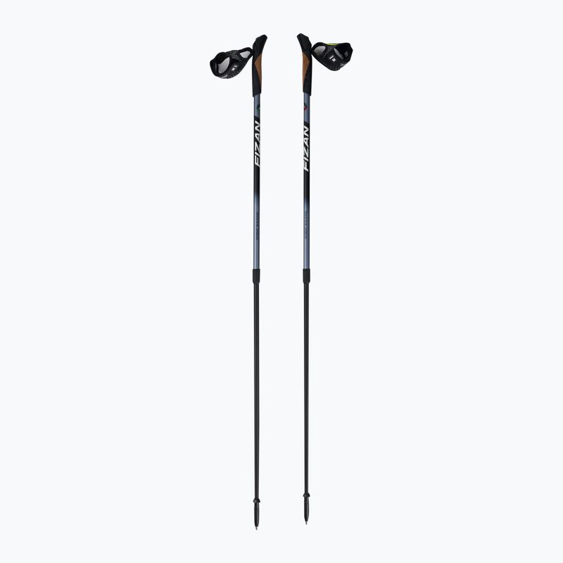 Fizan Speed Black Nordic walking poles black S20 7525