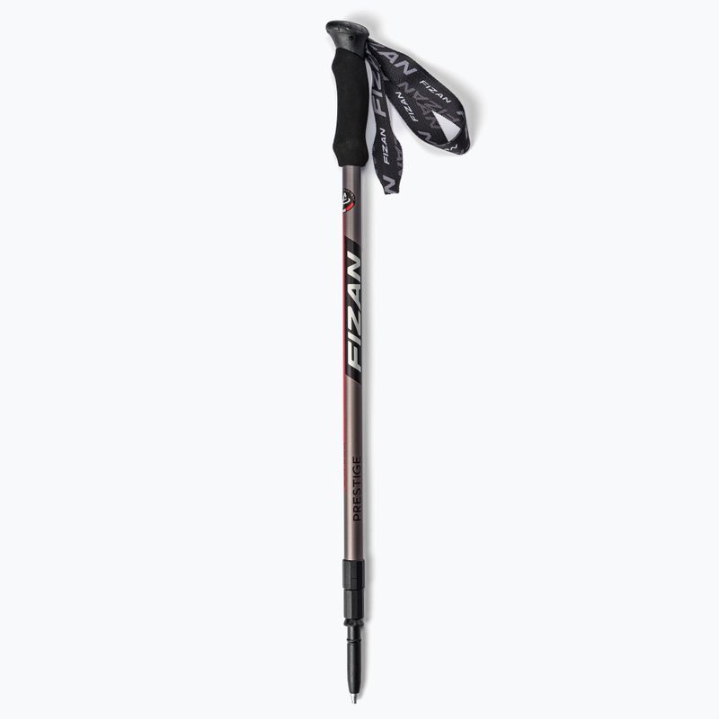 Fizan Prestige trekking poles blue 6