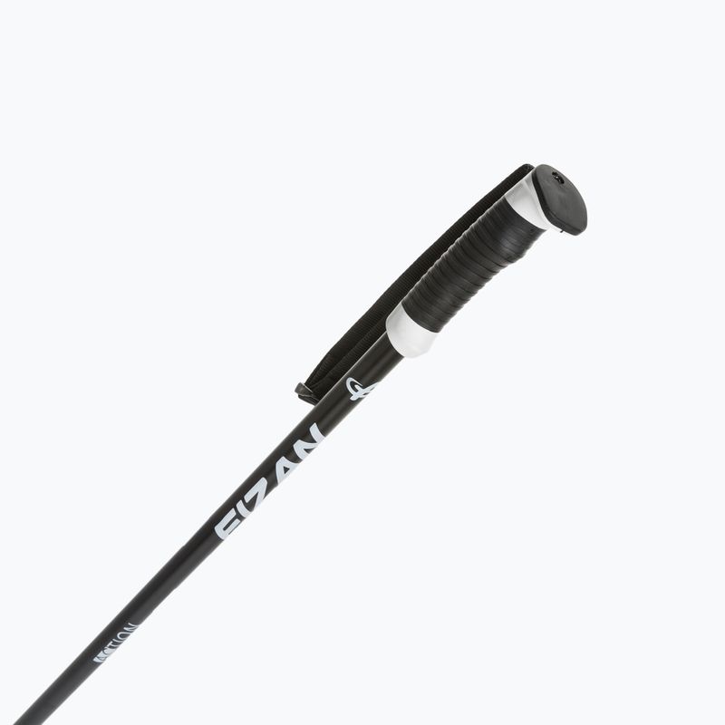 Fizan Action Pro black ski poles 2