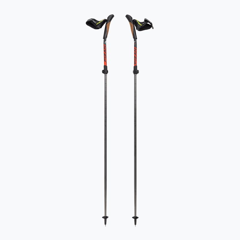 Nordic walking poles Fizan Carbon Pro Impulse grey