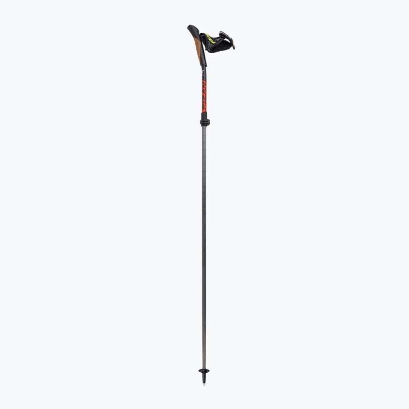 Nordic walking poles Fizan Carbon Pro Impulse grey 2