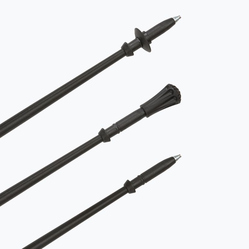 Fizan Walx Pro Nordic walking poles 6