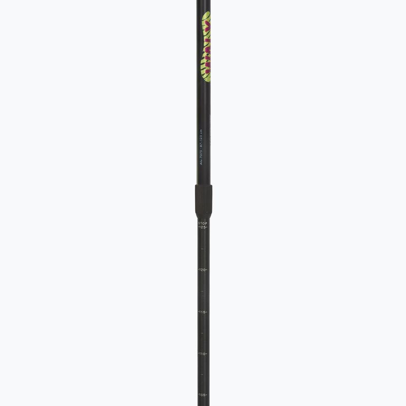 Fizan Walx Velocity Nordic walking poles 4