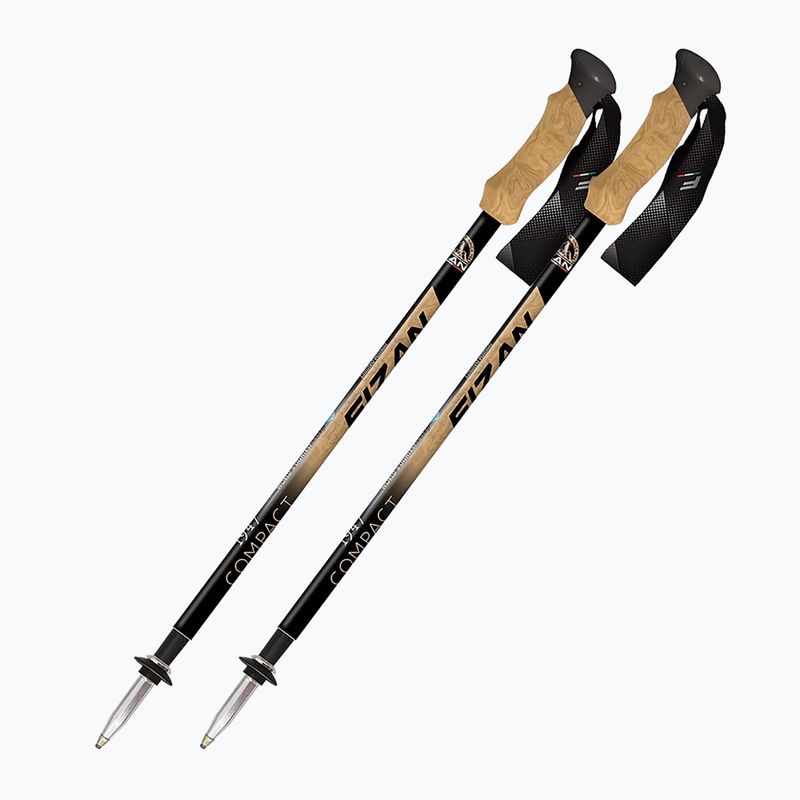 Fizan Compact 1947 desert trekking poles
