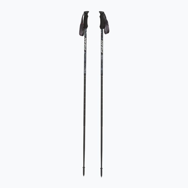 Fizan Compact MS trekking poles black