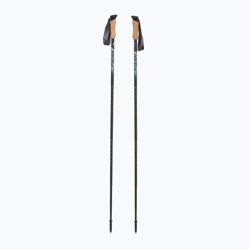 Fizan Compact 4 black trekking poles