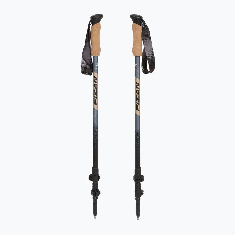 Fizan Adventure desert trekking poles 5