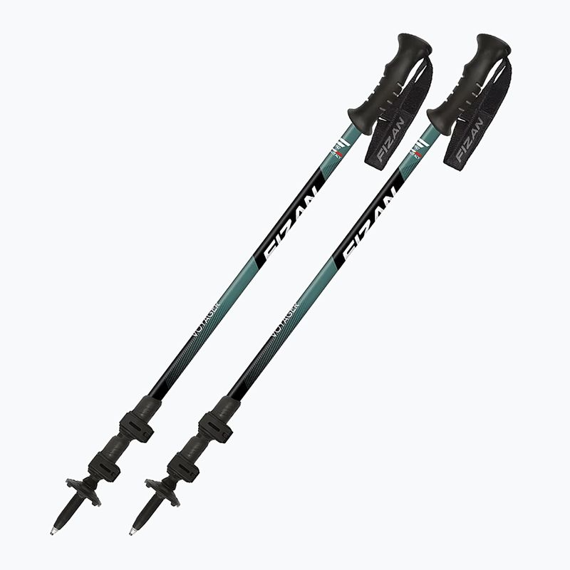 Fizan Voyager petrol trekking poles