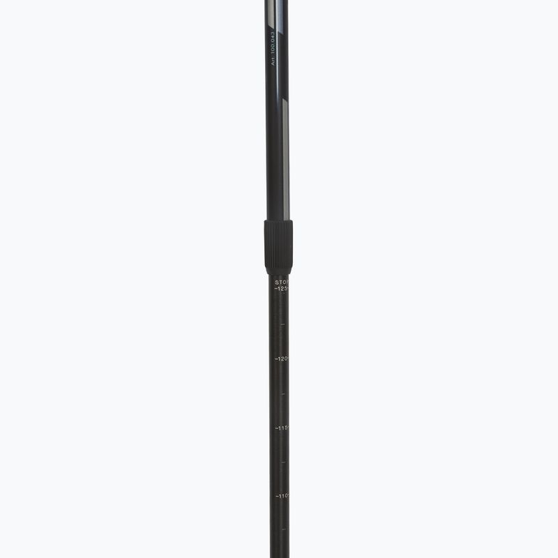 Fizan Speed black Nordic walking poles 4