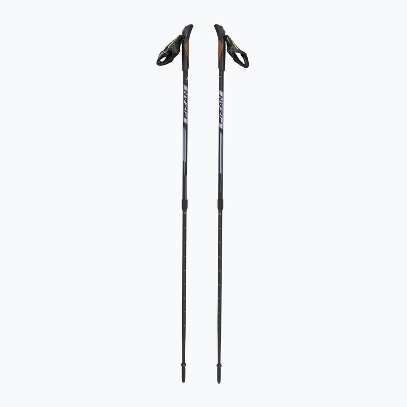 Fizan Speed violet Nordic walking poles