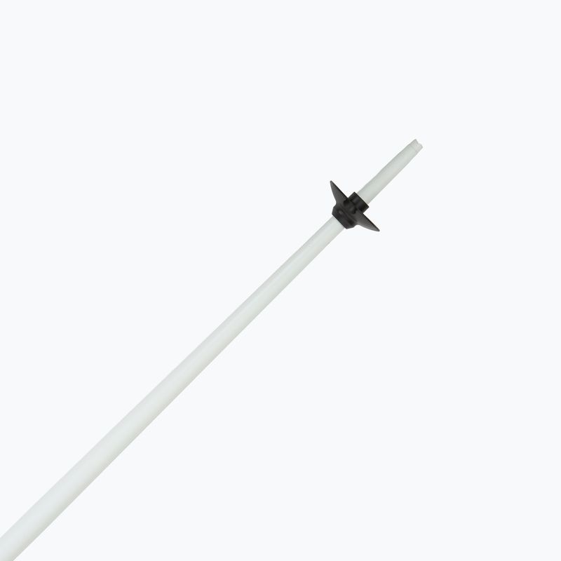 Ski poles Fizan Action MS paisley magenta 5