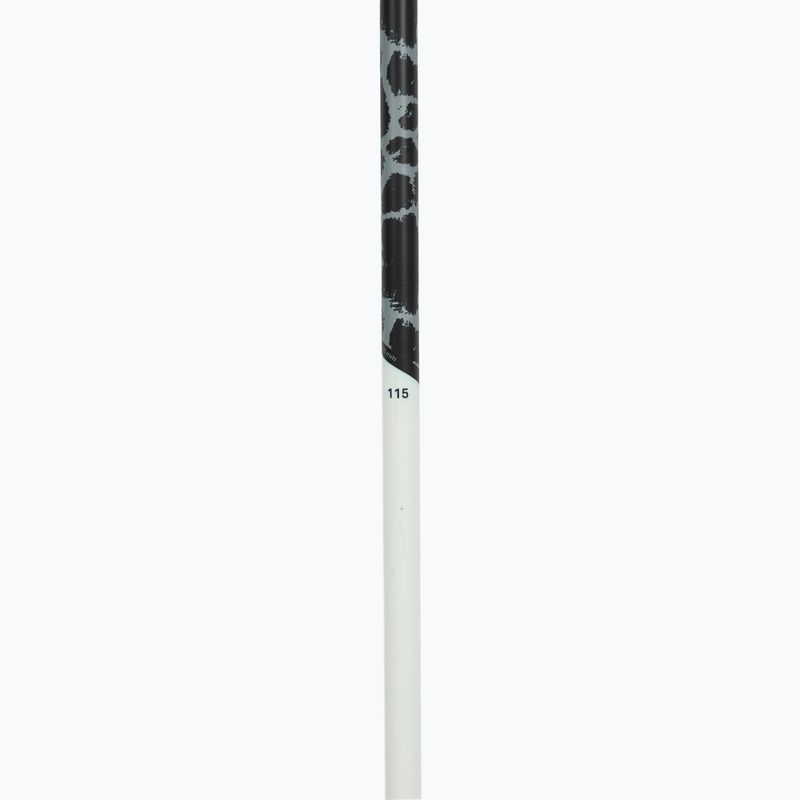 Ski poles Fizan Action MS animal gry 4