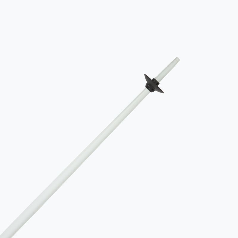 Ski poles Fizan Action MS animal gry 5